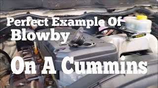 Perfect Example Of Blowby On A Common Rail Cummins [upl. by Eiuqnom]