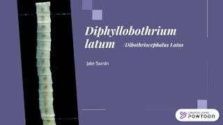 Diphyllobothrium Latum [upl. by Themis]