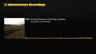 Audio Evening Sheep on Carl Crag Cumbria [upl. by Ailati799]