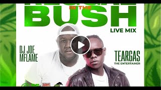 TEARGAS and DJ JOE MFALME REGGAE IN THE BUSH LIVE MIX 2021 [upl. by Banebrudge]