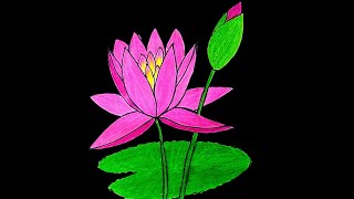 Water Lily drawing  How to draw water Lily  easy drawing  শাপলা ফুল আঁকা [upl. by Alyakcim]