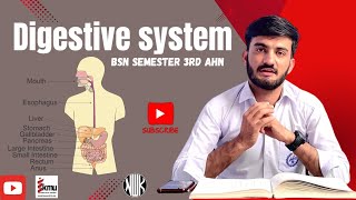 Digestive system anatomy and physiologyFunction of digestive system in human body for KMU students [upl. by Atoiyanap]