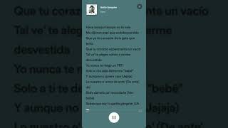 Gatita Gánster  Cazzu x Ñengo Flow LyricsLetraKaraoke [upl. by Yerga]