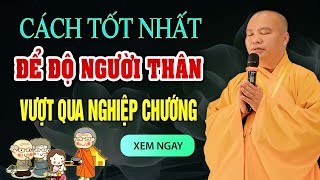 Cách Tốt Nhất Để Độ Người Thân Vượt Qua Nghiệp Chướng  ai cũng nên nghe   Thầy Thích Đạo Thịnh [upl. by Ronica92]