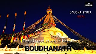 Boudhanath Stupa  The biggest stupa in Nepal  Walking Tour  Nibesh KhatiwadaWitty [upl. by Silvana]