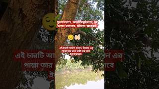 💯 সৈয়দ মোকাররম বারী এর শর্ট ওয়াজ  shortvideos dua quranrecitation [upl. by Perr366]