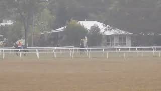 Mareeba 20240526 Race 4 [upl. by Zonda]