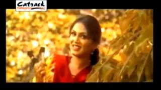 Kahende Ne Naina  Harbhajan Shera  Super Hit Punjabi Song With Subtitles [upl. by Akcirred108]