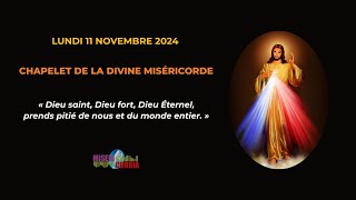 Chapelet de la Divine Miséricorde du lundi 11 novembre 2024 avec Hélène de la Grâce [upl. by Aidil]