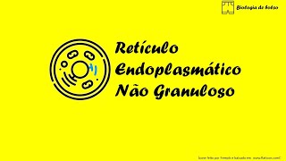 Retículo Endoplasmático Não Granuloso [upl. by Nikkie625]