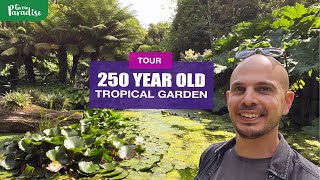 TROPICAL GARDEN with 250 year history TOUR of Abbotsbury Subtropical Gardens [upl. by Imij]