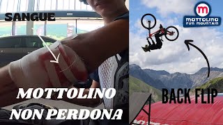 Il weekend PIU pazzo di sempre al mottolino bike park  FINITO MALE [upl. by Analah]