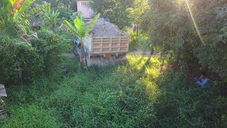 Early Morning START New PROJECT Land Filling First Dump Truck Upload soil and Dozer Push Soil Clear [upl. by Ocirne878]