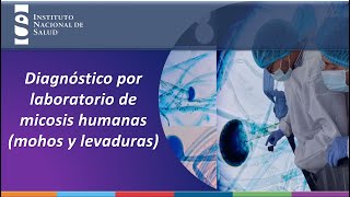 Diagnóstico por laboratorio de micosis humanas mohos y levaduras [upl. by Asseret]