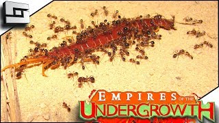 COLONY UNDER ATTACK Empires of the Undergrowth Gameplay [upl. by Razaile775]