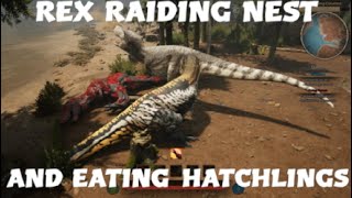 PATH OF TITANS REX RAIDING NEST AND EATING HATCHLINGS [upl. by Anival]