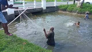 Seine Fishing in Guyana South America [upl. by Ahteres960]