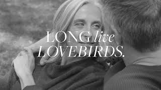 Long Live Lovebirds  Longs Jewelers [upl. by Kcirddot]