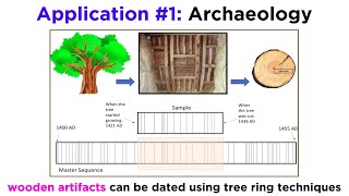 Applications of Dendrochronology [upl. by Miran674]