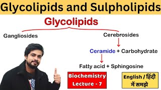 Glycolipids Gangliosides amp Cerebrosides amp Sulpholipid  Biochemistry Lecture in Hindi [upl. by Rabjohn722]