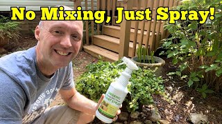 Plant Growth Booster Organic Foliar Fertilizer Spray Review [upl. by Rozanna]