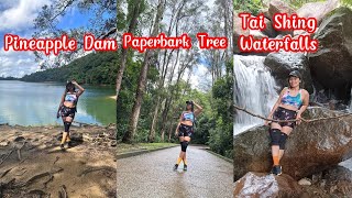 PINEAPPLE DAM TO PAPERBARK TREE TO TAI SHING WATERFALLS indaydina stream hongkong taishing [upl. by Libys]