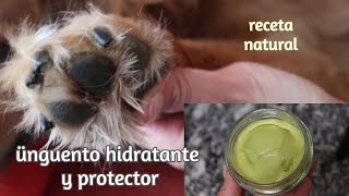 Receta de BÁLSAMO para las ALMOHADILLAS de tu PERRO hidratante y protector [upl. by Acirfa932]