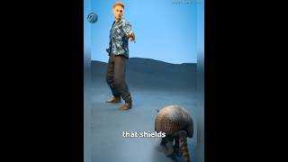 What Happens If You Shoot An Armadillo 😨 [upl. by Hayes375]