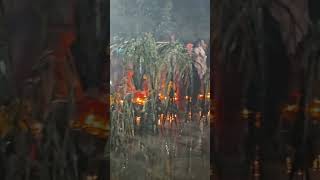 Chhat puja talasari 2024 viralvideo trending music chhathpuja chhath [upl. by Ymaj]