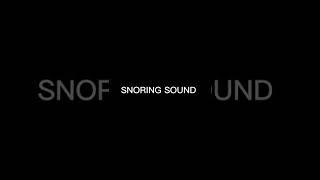 SNORING SOUND EFFECT 7 [upl. by Ivatts]