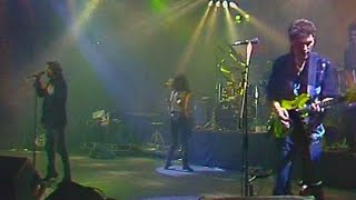 Rio Reiser Live in der SeelenbinderHalle Berlin 1988 [upl. by Ytsrik]