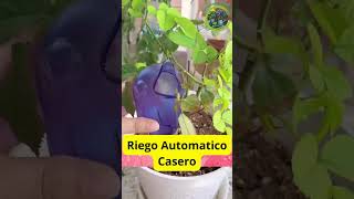 quotMétodos Efectivos para el Riego Automático de Plantasquot [upl. by Berkshire164]