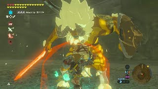 GOLD LYNEL FIGHT NO DAMAGE  Zelda Breath of the Wild [upl. by Munson896]