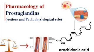 Prostaglandins Actions and Pathophysiological roles on CVS uterus Bronchi GIT Kidney CNS Eye [upl. by Enitselec]