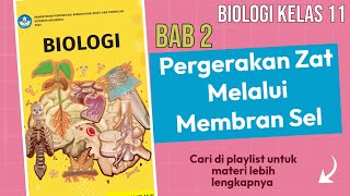 Perbedaan Sel Hewan amp Sel Tumbuhan pada transpor membran dengan konsentrasi berbeda BIOLOGI KELAS 11 [upl. by Lednor]