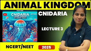 Cnidaria  Animal kingdom  Lecture 3  Suman Yadav [upl. by Cleodell]