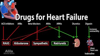 Pharmacology Drugs for Heart Failure Animation [upl. by Seto]