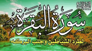 سورة البقرة كاملة لطرد الشياطين من منزلك وجلب البركه باذن الله  surat albaqra [upl. by Vitale]