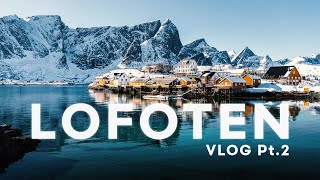 LOFOTEN ISLANDS  TRAVEL VLOG 2 [upl. by Ehsiom]