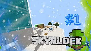 How to Expand and Levelup the island  Fallentech Skyblock [upl. by Frey]