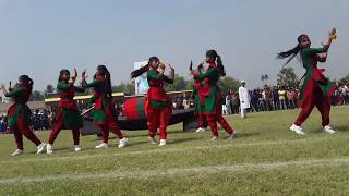 26 march Independence Day2019 in rajbari stadium presentation by govt sisu pori bar [upl. by Nosremaj639]