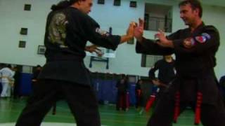 Seminario Kenpo Karate LTKKA 1 de 2 [upl. by Eelir812]