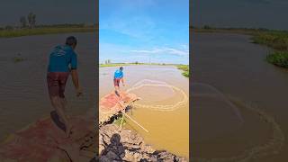 shorts 259  Catching fish throwing casting nets in river fishing castnetfishing castnetfish [upl. by Chadd163]