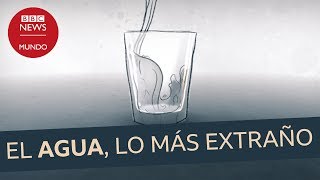 Por qué el agua es una de las cosas más raras del Universo [upl. by Ciel]