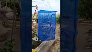 Smart Solutions Window Cleaner Hanger and Exhaust Fan🥰🙂shorts factsinhindi viral [upl. by Charmain]