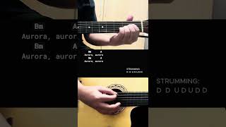 Aurora  Toneejay  Easy Guitar Chords Tutorial For Beginners CHORDS amp LYRICS guitarlesson [upl. by Yance]