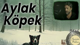 Aylak Köpek 🎙️ Videocast 45 [upl. by Etsirhc]