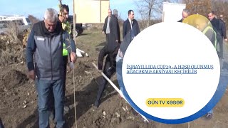 İsmayıllıda COP29a həsr olunmuş ağacəkmə aksiyası keçirilib [upl. by Otrevogir]