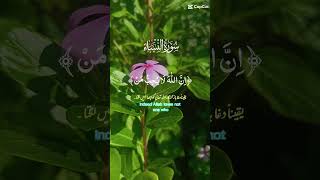 New tilawat Qari Aldosari flowers surahrahmanrecite qurantilawat quran duet qariquran voiceef [upl. by Sherrer91]