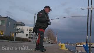 Gävle Cityfishing [upl. by Karlie]